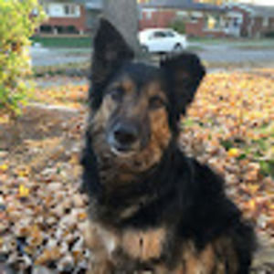 Meet your Posher, Claire